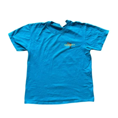 graphic tee shirt