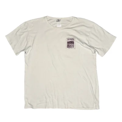 graphic tee shirt