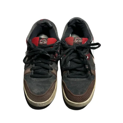 Nike Skate